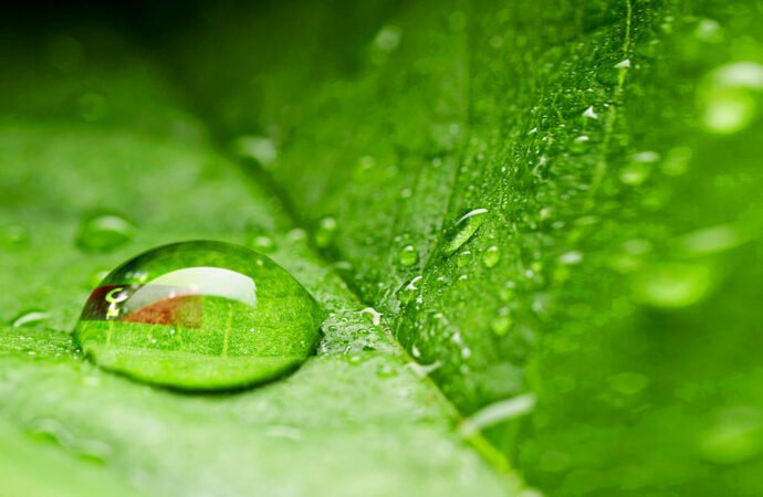 ISO-14001-Certified-vermont vt ISO-14001-Certified-vermont vt